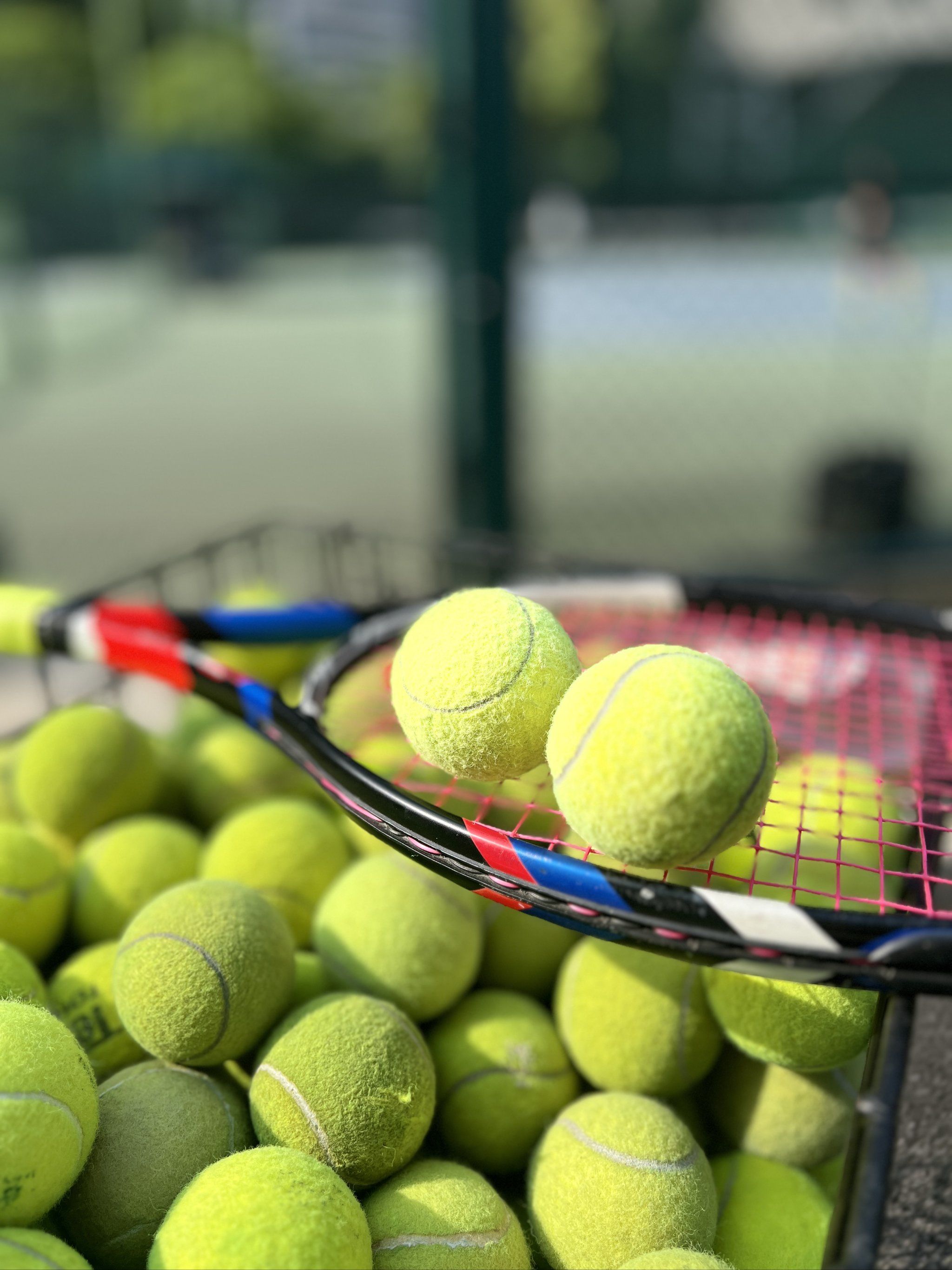 据不难发现 据不难发现